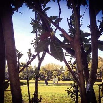 Agriturismo Beethoven โนซิ ภายนอก รูปภาพ